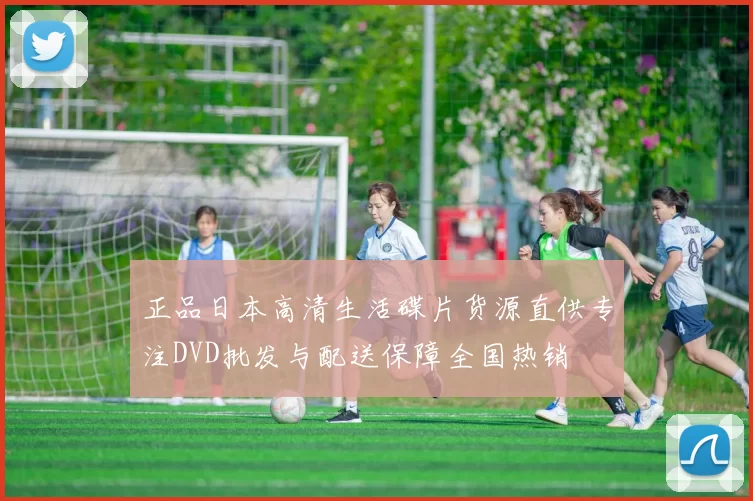 正品日本高清生活碟片货源直供专注DVD批发与配送保障全国热销