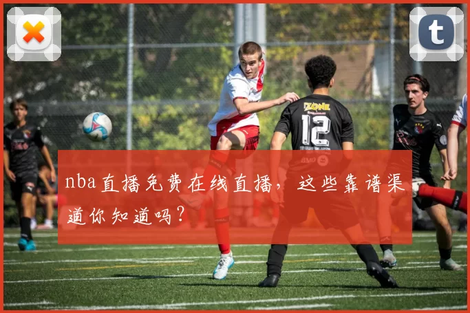 nba直播免费在线直播，这些靠谱渠道你知道吗？