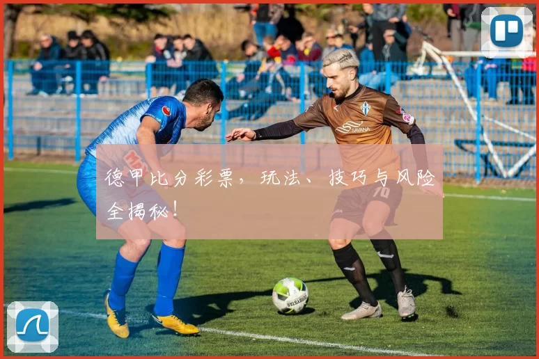 德甲比分彩票，玩法、技巧与风险全揭秘！